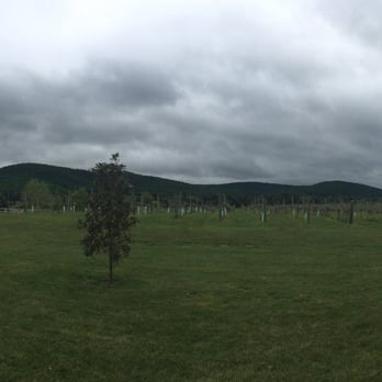 Chestnut Oak Vineyard - Beautiful views - Wineries Near Me - Barboursville, Virginia Chestnut Oak Vineyard - Beautiful views - Wineries Near Me - Barboursville, Virginia