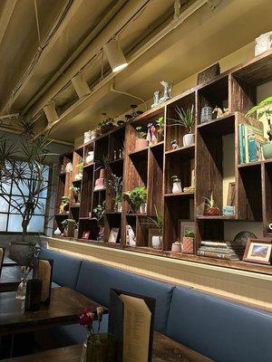 Condesa Phoenix by null