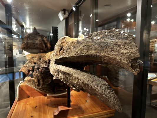 Totem Heritage Center by null