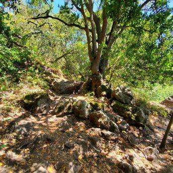 Lake Anza - Hiking trail far side of lake - Lakes Near Me - Berkeley, California Lake Anza - Hiking trail far side of lake - Lakes Near Me - Berkeley, California