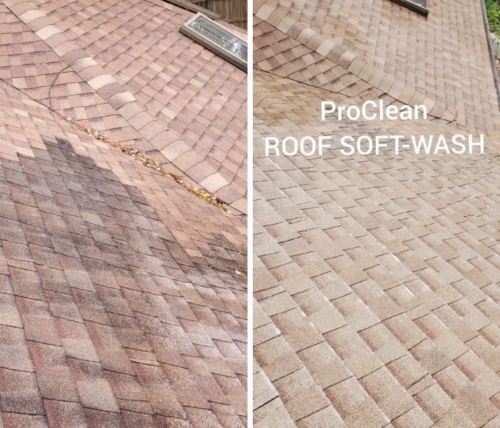 Slide of ProClean Pressure Washing