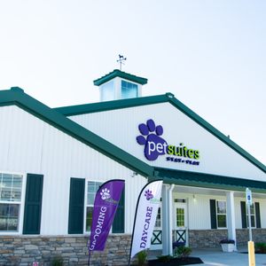 PetSuites Indianapolis Northwest on Yelp