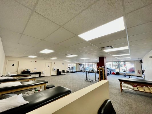 Professional Physical Therapy