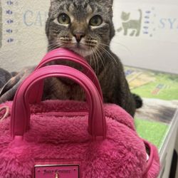 Alisal Pet Clinic - She likes being here :)