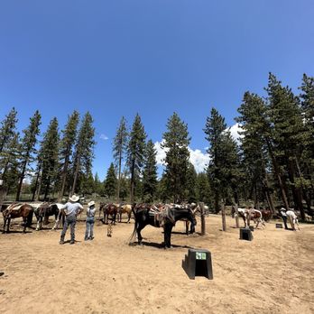 Zephyr Cove Stables - Horses - Horseback Riding Near Me - Zephyr Cove, Nevada