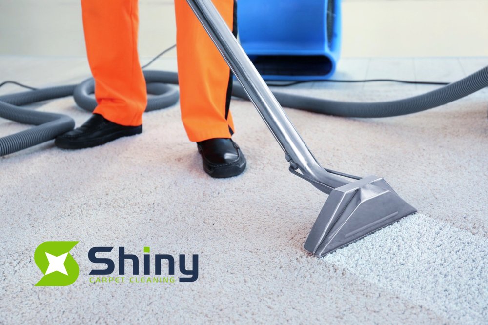 SHINY CARPET CLEANING Updated July 2024 98 Photos & 102 Reviews