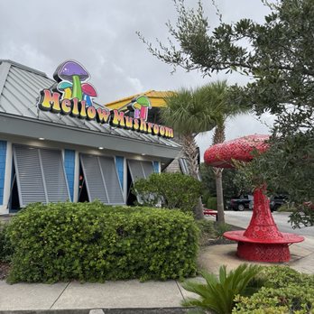 Mellow Mushroom Myrtle Beach - Pizza Near Me - Myrtle Beach, South Carolina Mellow Mushroom Myrtle Beach - Pizza Near Me - Myrtle Beach, South Carolina