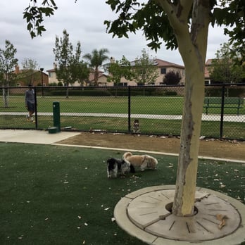 Dairyland Park - Husky puppy wanted to play with us. - Playgrounds Near Me - Eastvale, California Dairyland Park - Husky puppy wanted to play with us. - Playgrounds Near Me - Eastvale, California