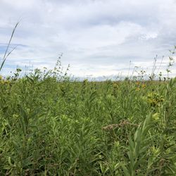 Douglas-Hart Nature Center