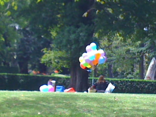 Fitzroy Gardens by null