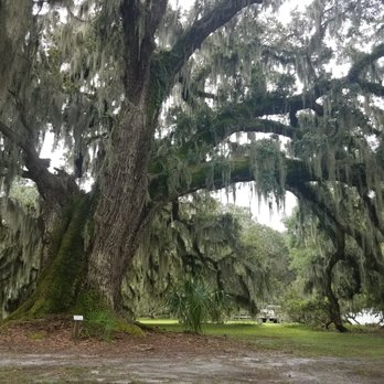 Hofwyl-Broadfield Plantation - The great Ophelia - Landmarks & Historical Buildings Near Me - Brunswick, Georgia Hofwyl-Broadfield Plantation - The great Ophelia - Landmarks & Historical Buildings Near Me - Brunswick, Georgia