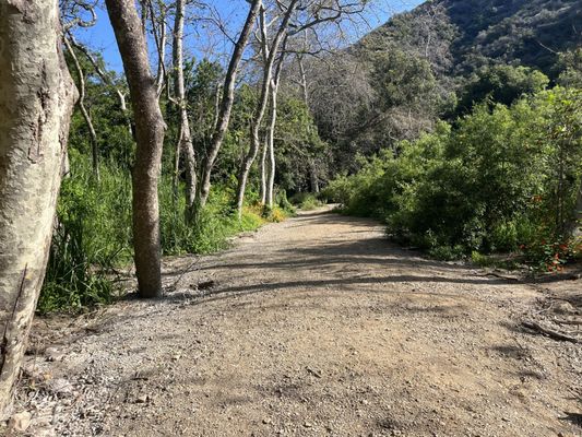 Temescal Gateway Park, Mountains Recreation & Conservation Authority by null