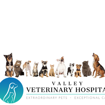 Valley Veterinary Hospital - Veterinarians Near Me - Oshkosh, Wisconsin Valley Veterinary Hospital - Veterinarians Near Me - Oshkosh, Wisconsin