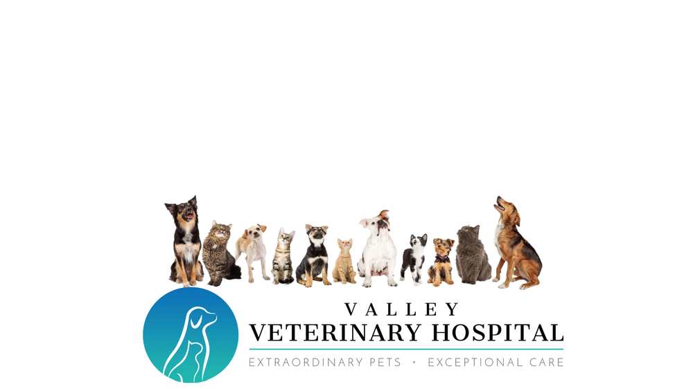 VALLEY VETERINARY HOSPITAL Updated May 2024 2765 Jackson St
