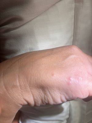 Hotel Barrière Le Majestic Cannes by null