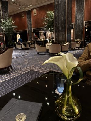 Peacock Alley by null