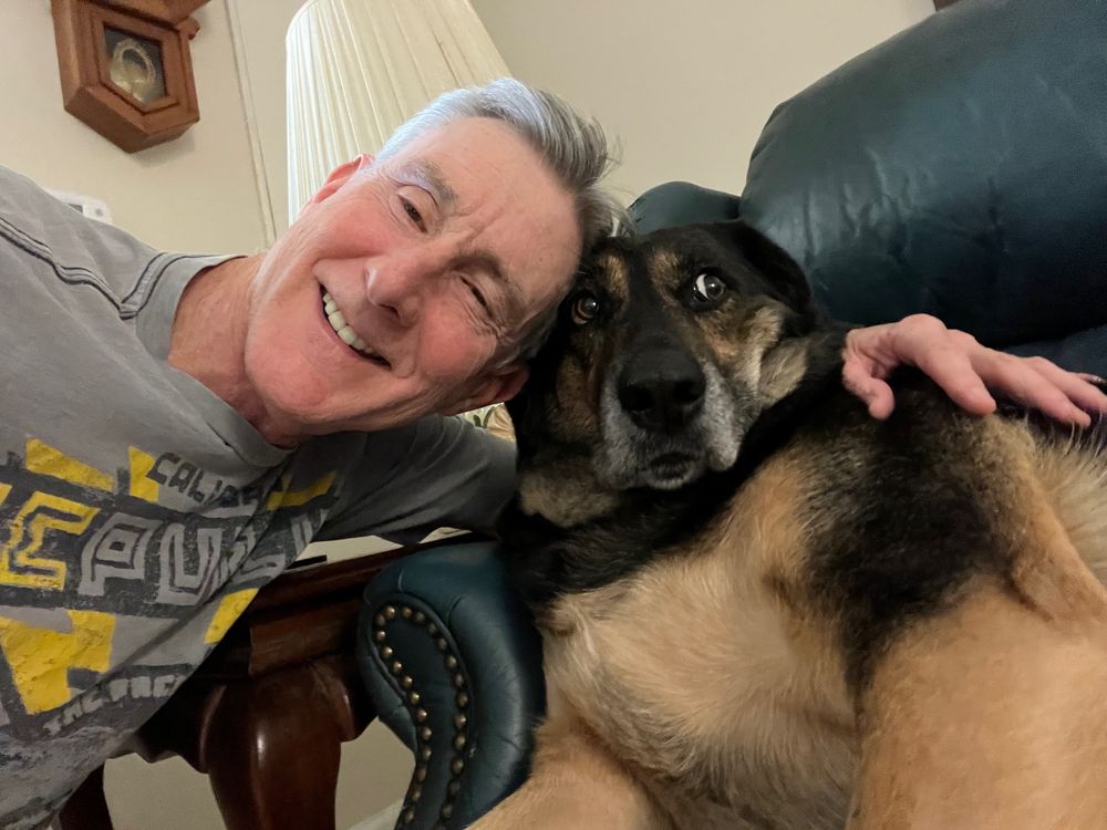 Pensacola  Humane Society Image