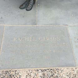 Rachel Carson Memorial Statue