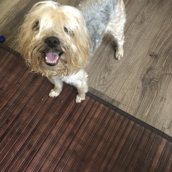 K9 Loft - Pet Groomers Near Me - Los Angeles, California
