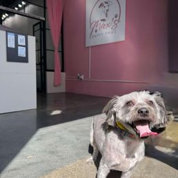 Exterior outside entrance of Max's Happy Paws - Ruben getting groomed and leaving a happy boy - Los Angeles, California Exterior outside entrance of Max's Happy Paws - Ruben getting groomed and leaving a happy boy - Los Angeles, California