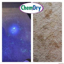 Chem-Dry of Blackfoot & Pocatello - Proprietary pet urine removal treatment