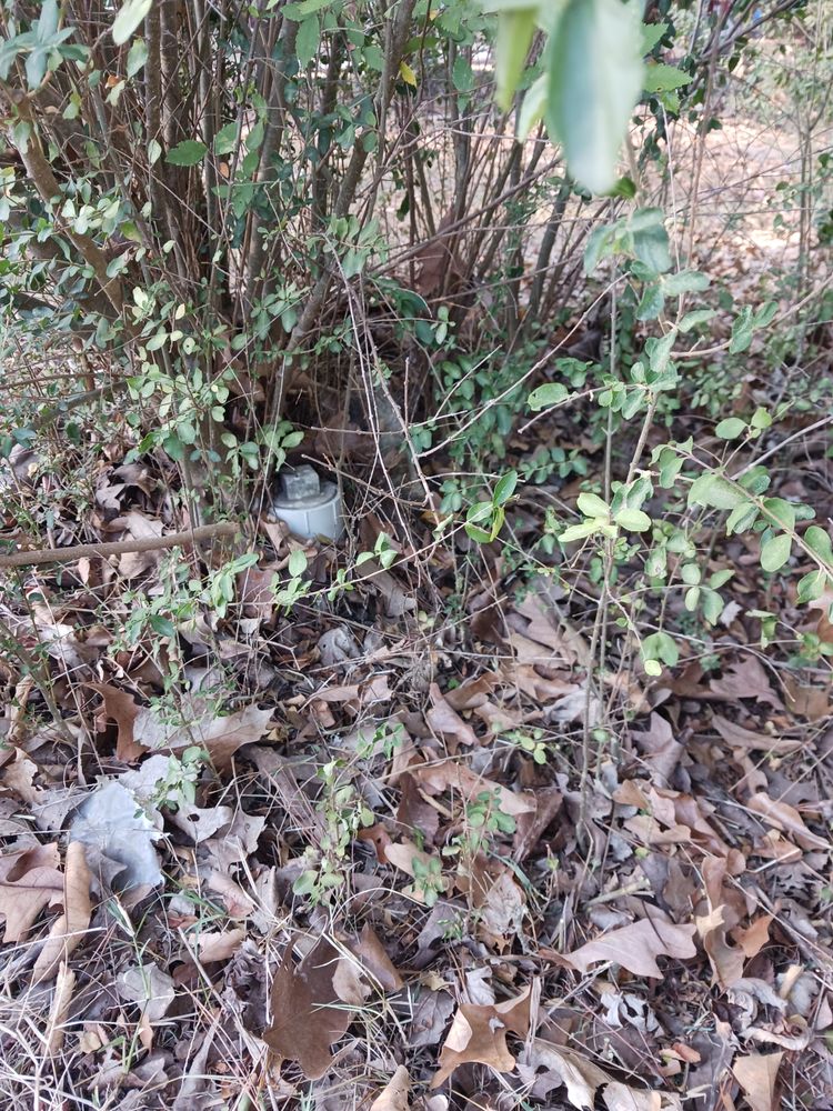 Slide of HDM Remodeling