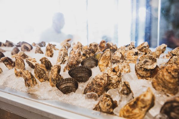 Crudo Ceviche & Oyster Bar by null