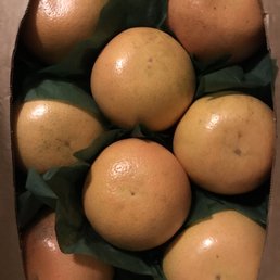 Grapefruits Grapefruits