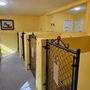 Photo of Miracle Acres Kennel & Pet Resort