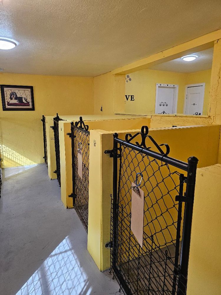 Miracle Acres Kennel & Pet Resort Image