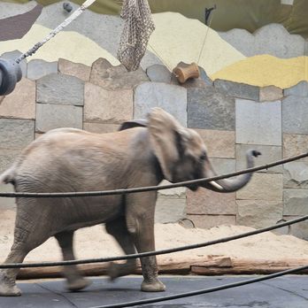Tiergarten Schönbrunn - Zoos Near Me - Vienna, 9