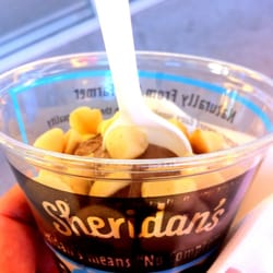 Chocolate w/ macadamia