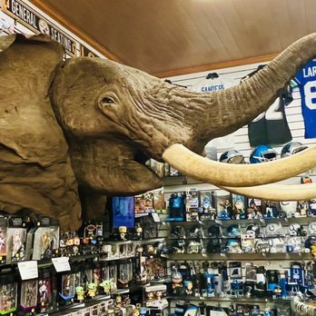 Crawford's Museum - Check out the elephant... so cool - Shopping Near Me - Breezewood, Pennsylvania Crawford's Museum - Check out the elephant... so cool - Shopping Near Me - Breezewood, Pennsylvania