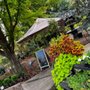 Green Valley Gardens