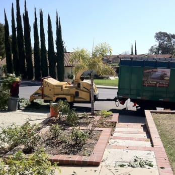 Joe's Tree Care - Tree Services Near Me