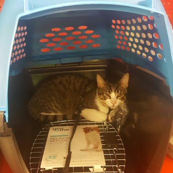 Petco - Pet Stores Near Me - Houston, Texas Petco - Pet Stores Near Me - Houston, Texas