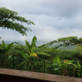 Hacienda Lealtad - View - Coffee Roasteries Near Me - Lares, Puerto Rico Hacienda Lealtad - View - Coffee Roasteries Near Me - Lares, Puerto Rico