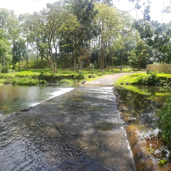 Keahua Arboretum - Cross this river and walk over to the trees on the lefthand side! - Parks Near Me - Kapaa, Hawaii Keahua Arboretum - Cross this river and walk over to the trees on the lefthand side! - Parks Near Me - Kapaa, Hawaii
