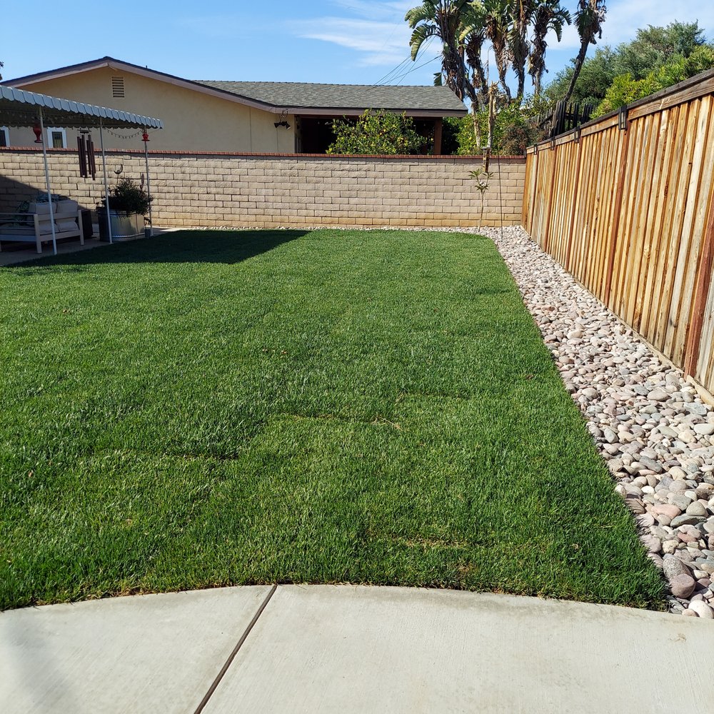 Lawn Master - Landscape Architects or Designers Near Me - Fullerton, California Lawn Master - Landscape Architects or Designers Near Me - Fullerton, California