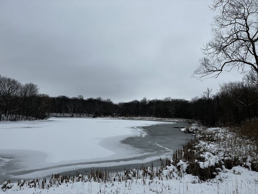 Maybury State Park by null