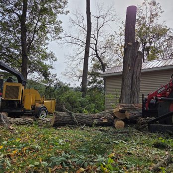 G Adams Tree Service - Tree removal in action - Tree Services Near Me G Adams Tree Service - Tree removal in action - Tree Services Near Me