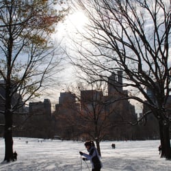 Seven Hills Global - Winter in Central Park