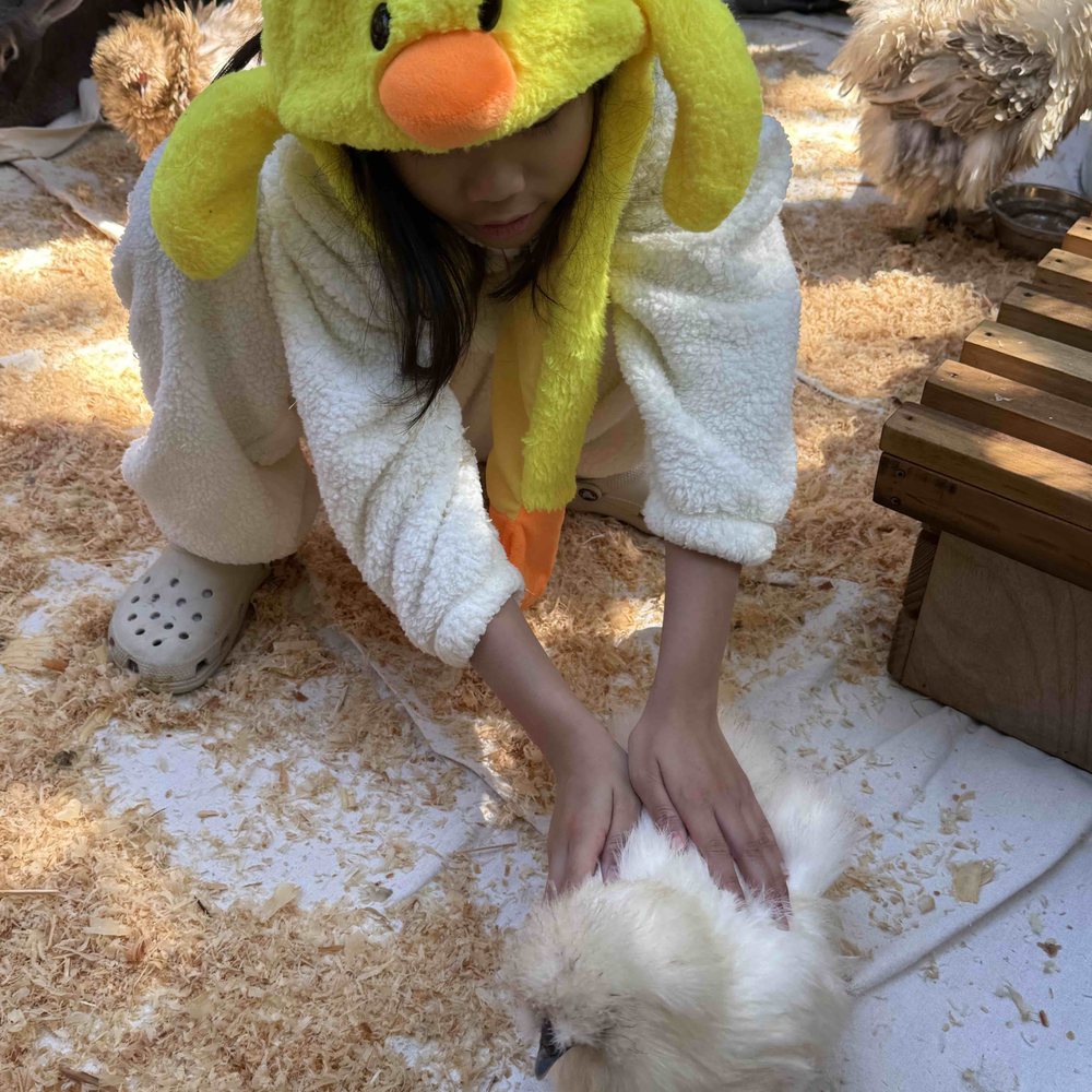 Experience Fable - Petting Zoos Near Me Experience Fable - Petting Zoos Near Me