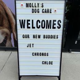 Personalized Welcome Sign Personalized Welcome Sign