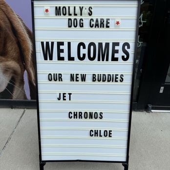 Mollys Dog Care - Personalized Welcome Sign - Pet Groomers Near Me - Baltimore, Maryland