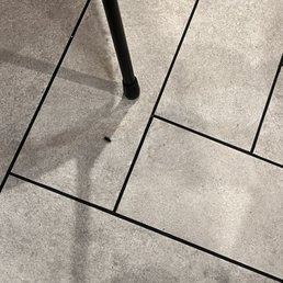 Cockroach Cockroach