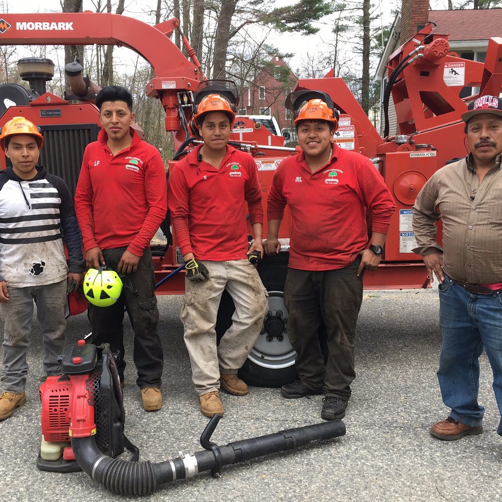 Lopez Landscaping & Tree Service - Tree Services Near Me - Lynn, Massachusetts Lopez Landscaping & Tree Service - Tree Services Near Me - Lynn, Massachusetts