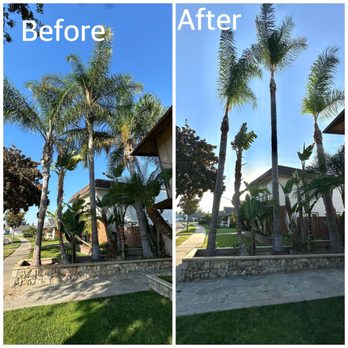 Valencia's Tree Service - Tree Services Near Me Valencia's Tree Service - Tree Services Near Me