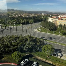 8th floor suite . Views