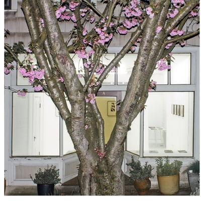 Fourteen 30 Contemporary